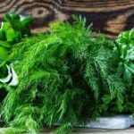 Неоціненна користь свіжої зелені Неоціненна користь свіжої зелені