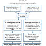 АЛГОРИТМ ДІЙ ПАЦІЄНТА ПРИ ОТРИМАННІ РЕЦЕПТУ НА ПІЛЬГОВІ ЛІКИ АЛГОРИТМ ДІЙ ПАЦІЄНТА ПРИ ОТРИМАННІ РЕЦЕПТУ НА ПІЛЬГОВІ ЛІКИ