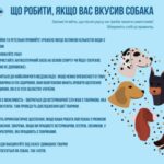 ТУЛЯРЕМІЯ ТУЛЯРЕМІЯ