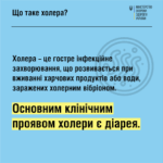 Що таке холера?