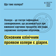 Що таке холера?