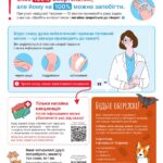 Що потрібно знати про сказ і як уберегтися від захворювання