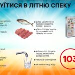 Як не отруїтися в літню спеку Як не отруїтися в літню спеку