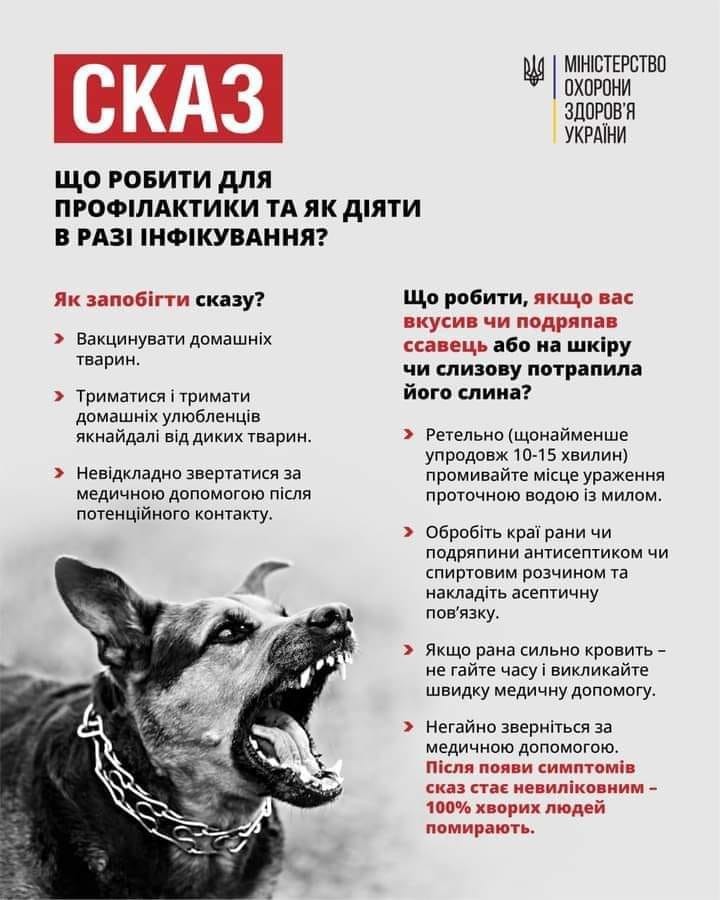 Що потрібно знати про сказ