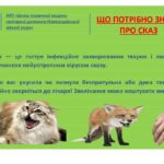 Що потрібно знати про сказ Що потрібно знати про сказ