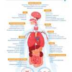 Що варто знати про нікотин